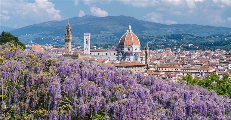 il celebre glicine della villa