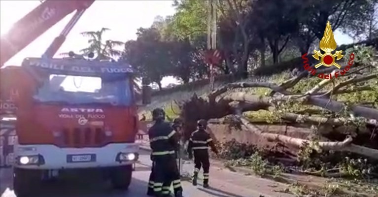 l'albero caduti in via Giovanni da Montorsoli
