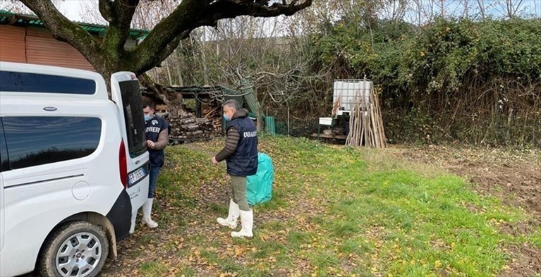 estradizione per il figlio della coppia fatta a pezzi