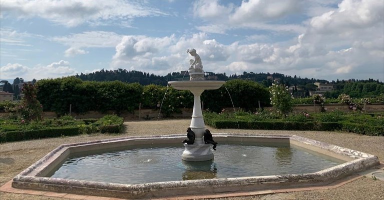 la vasca delle scimmie torna a splendere