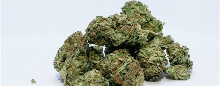 sequestro di droga alle Cascine