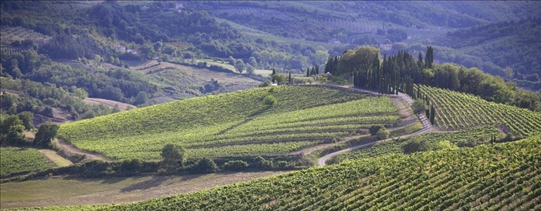 il paesaggio del Chianti Classico