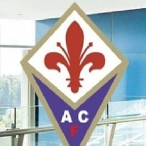 borsone viola rubato