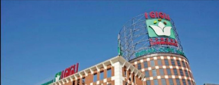 il centro commerciale I Gigli
