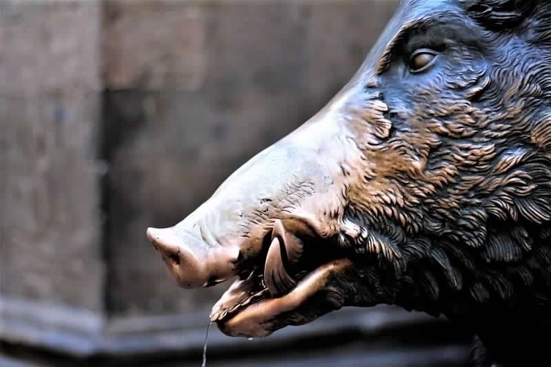 Il porcellino, uno dei tanti monumenti storici di Firenze, destinatari dell'intervento