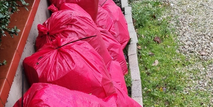 I sacchi rossi esposti