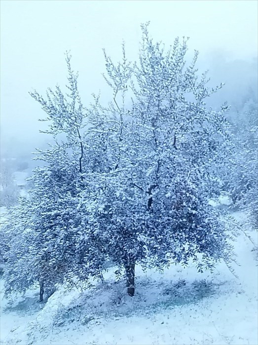 Veduta a San Godenzo