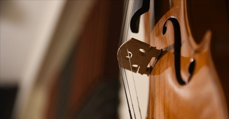 la preziosa viola ritrovata dalla Polfer