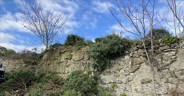 nasce il sentiero etrusco