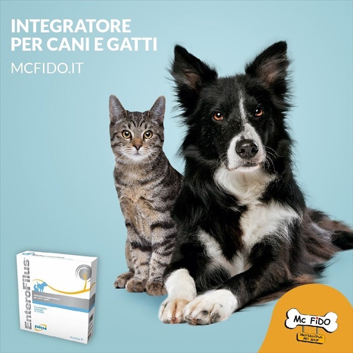 Mc Fido il negozio di animali a Firenze