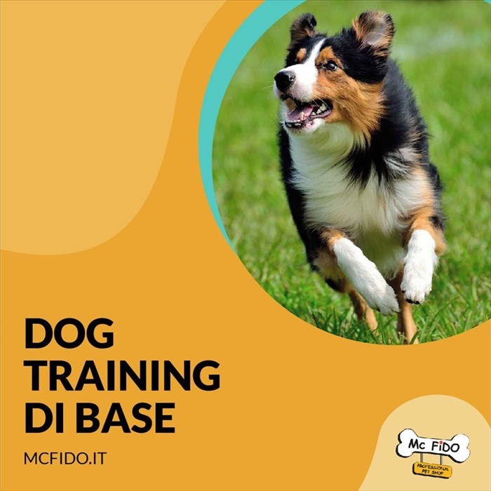 Mc Fido il negozio di animali a Firenze