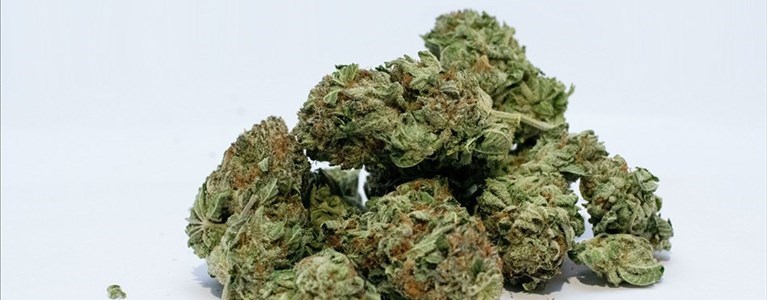 sequestro di droga a Firenze sud