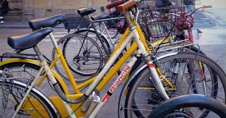 pulizia rastrelliere al Quartiere 2