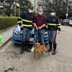 Rocco appena restituito al padrone