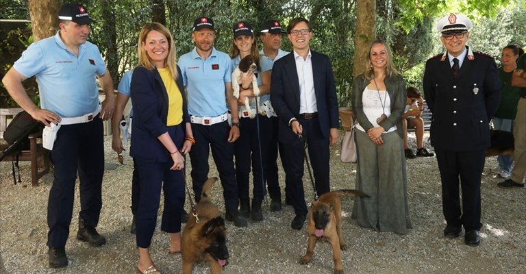 I tre cani antidroga