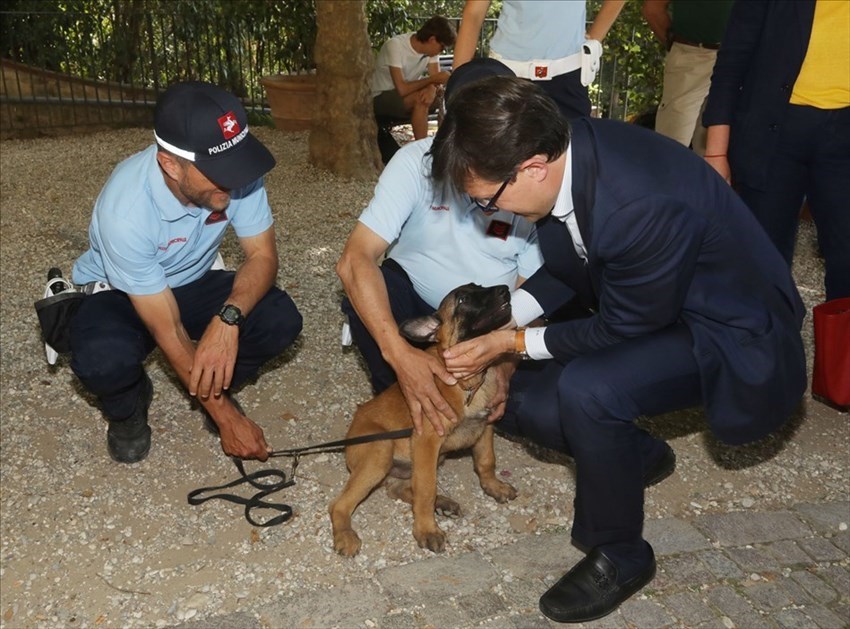 i nuovi cani antidroga