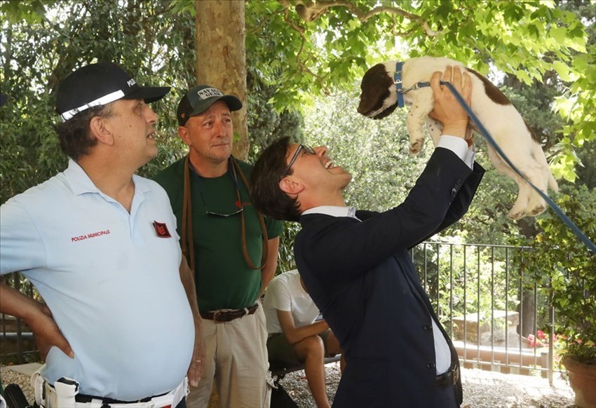 i nuovi cani antidroga