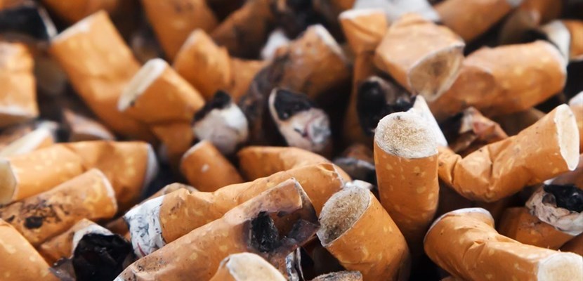 torna ""caccia la cicca!"",""Pixabay