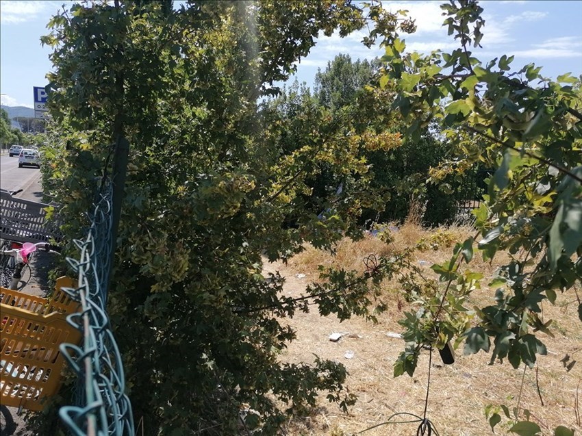 discarica nel parc