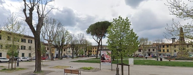 abbattuti alberi malati al Galluzzo