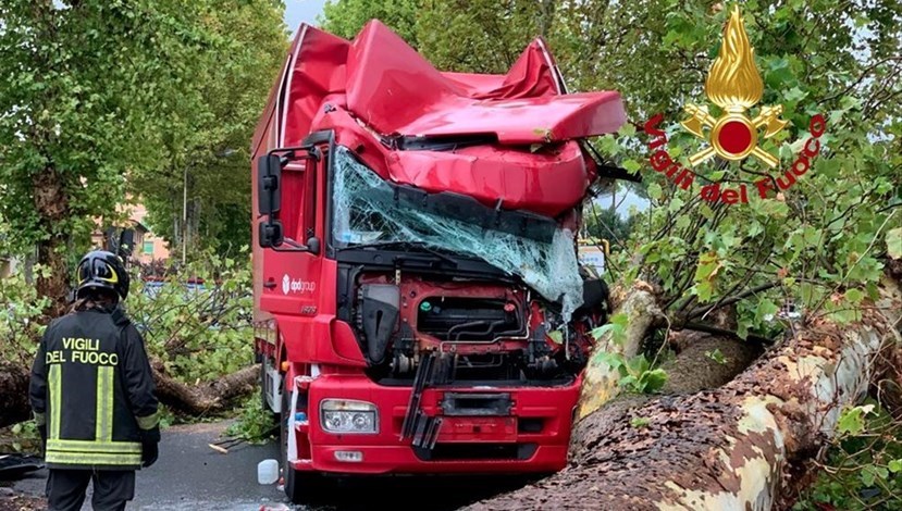 Camion colpito dall'albero