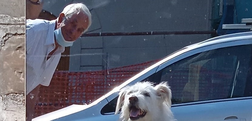 Angiolino si affaccia dalla sua bottega