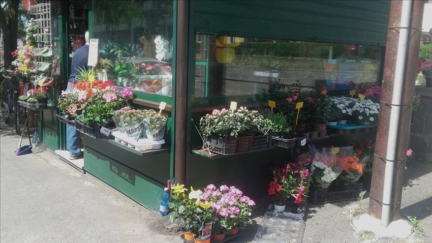 Fiori per il fioraio de Le Cure