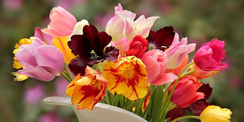 Forna la festa di fiori e piante a Sesto