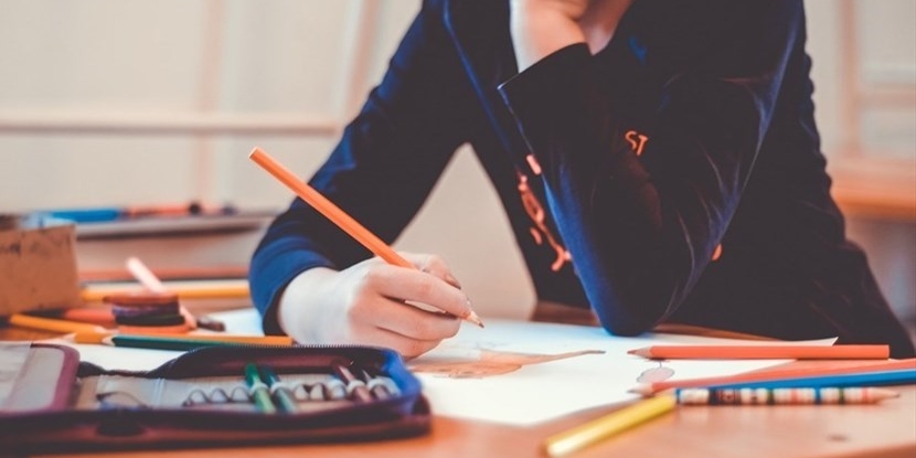 Il pendolarismo scolastico