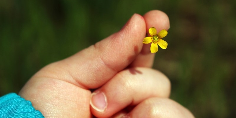 I giochi della gentilezza