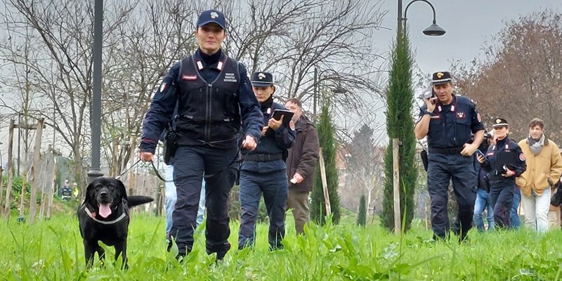 I cani antiveleno all'opera