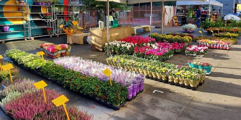 Torna Florinfiera a Sesto