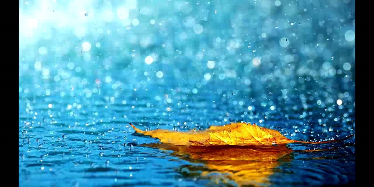 Maltempo. Codice giallo anche giovedì per piogge e temporali