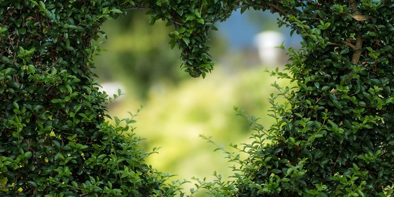 Tornano le visite ai giardini