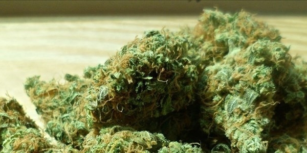 arrestato per spaccio in via Pisana