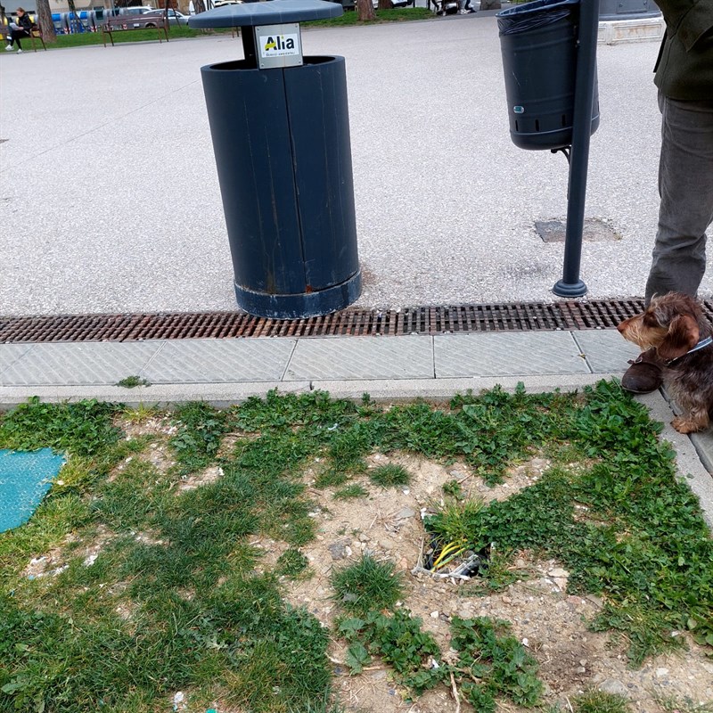 il degrado della ""nuova"" piazza