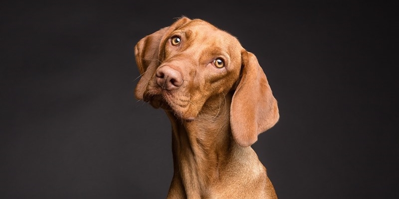 Un'ordinanza di civiltà