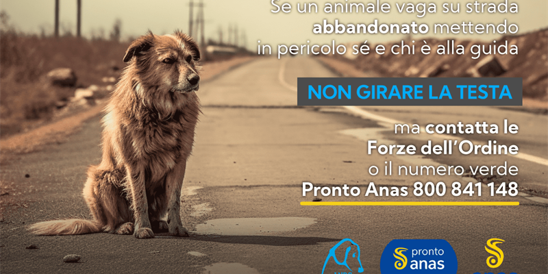 Campagna contro l'abbandono