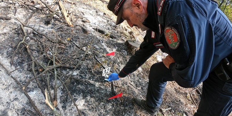 L'intervento dei Carabinieri Forestali