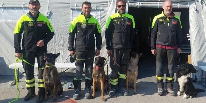 I quattro eroi umani e i 4 eroi con la coda