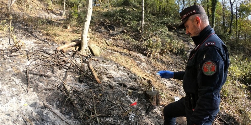 Forestale all'opera su un incendio