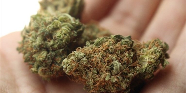 spaccio di marijuana