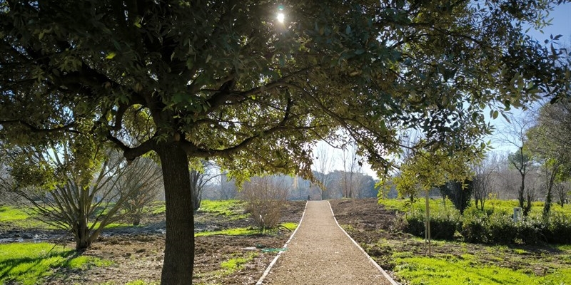 Il giardino del Mezzetta