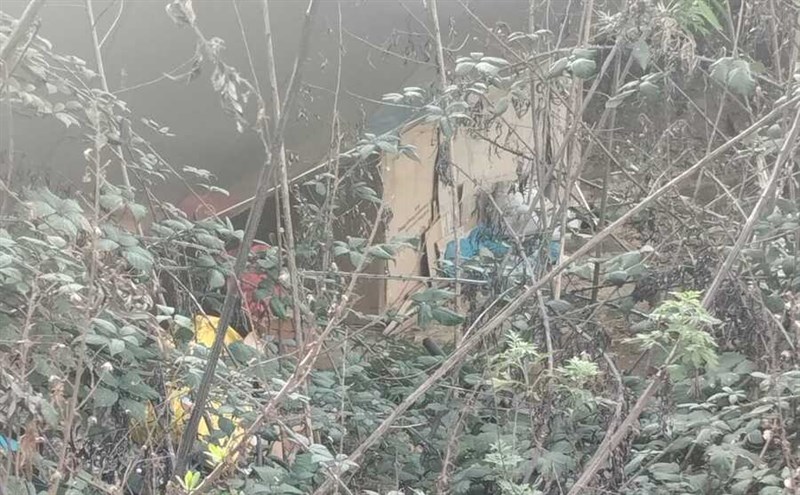 La baraccopoli spunta fra la vegetazione