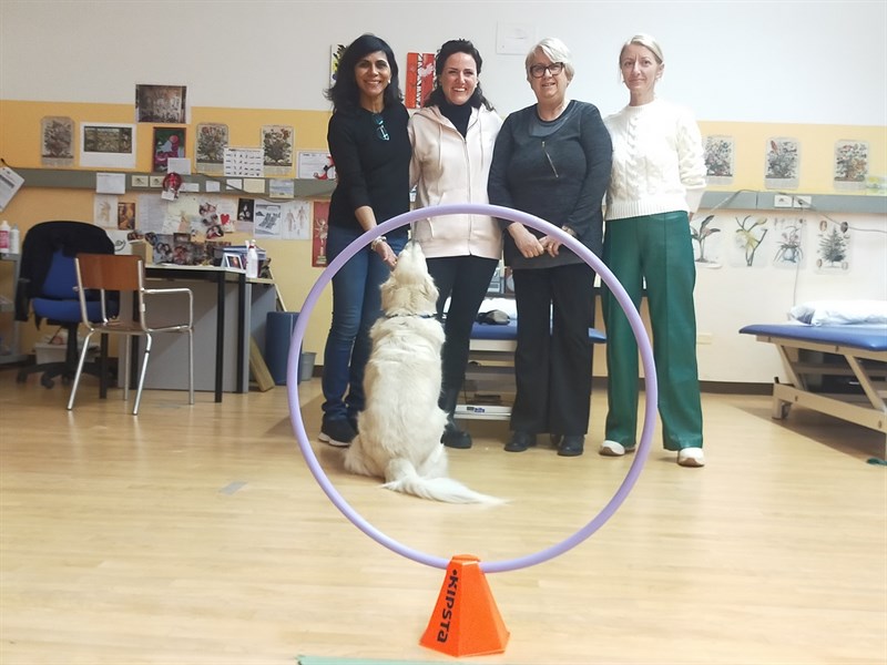 La terapia del dolore