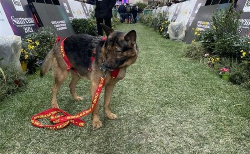 Marley sul green carpet sanremese
