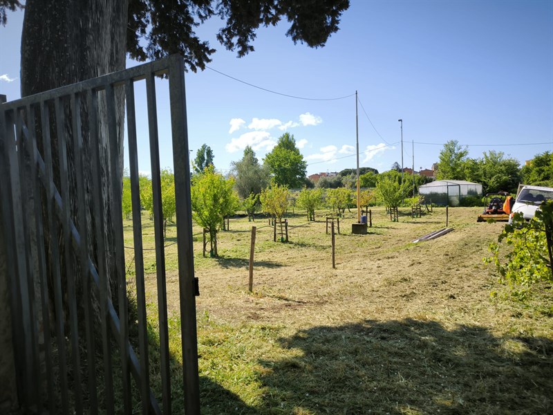 Il bosco dei bambini del Demetra finalmente curato dal comune