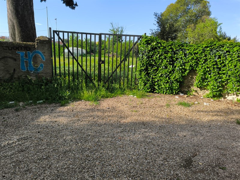 Il bosco dei bambini del Demetra abbandonato a se stesso fino a pochi giorni fa