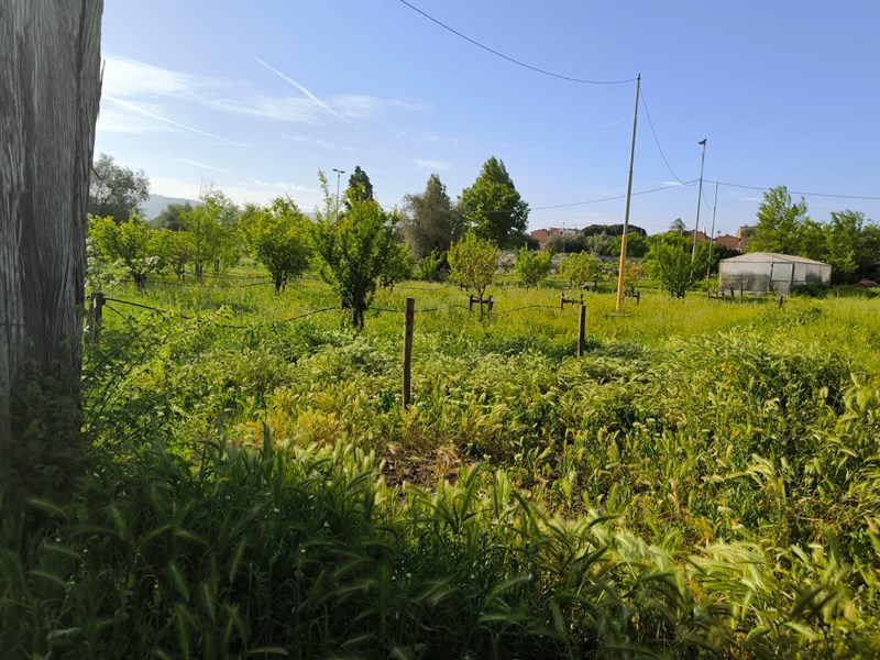 Il bosco dei bambini del Demetra abbandonato a se stesso fino a pochi giorni fa