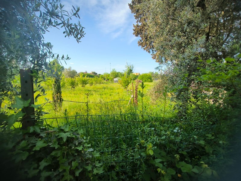 Il bosco dei bambini del Demetra abbandonato a se stesso fino a pochi giorni fa
